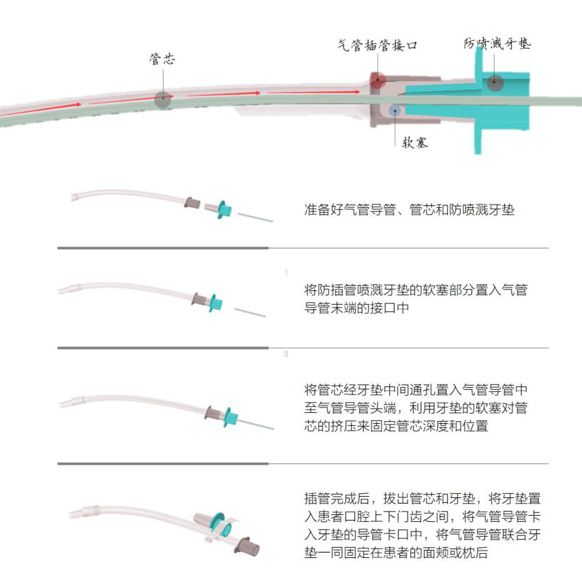 1585547644132283.jpg 640 (1).jpg